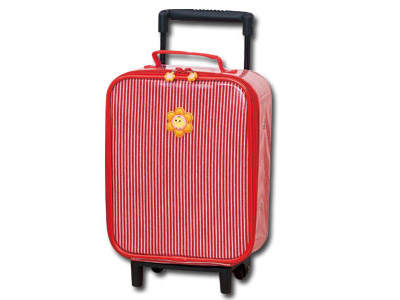 EVA trolley case