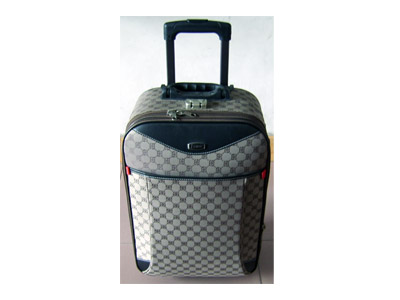 EVA Luggage case