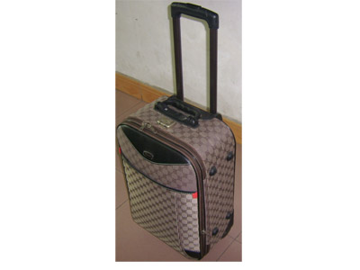 EVA Luggage case