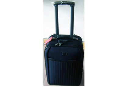 EVA Luggage case