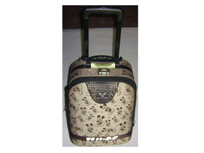 EVA trolley case,Luggage case