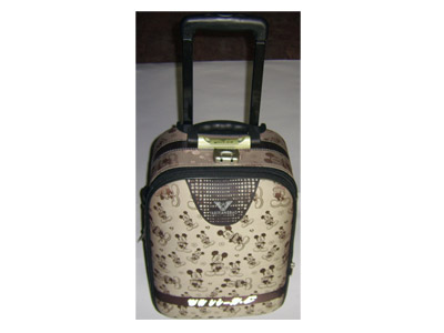 EVA trolley case,Luggage case